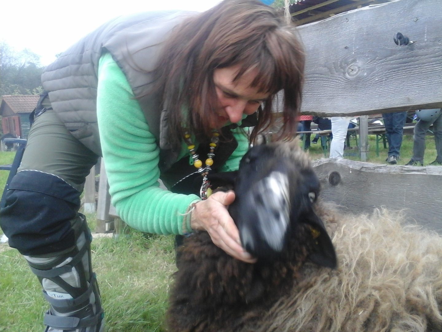 Heike Anna Gach mit einem Schaf auf der Wiese