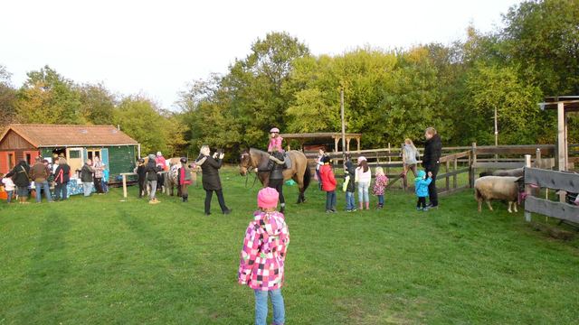 Vereinsfest 2015 auf der Sonnenwiese