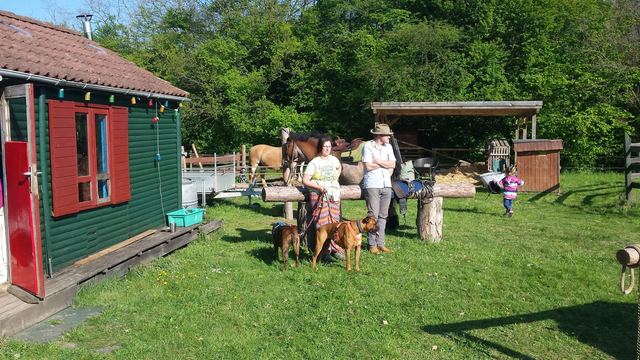 Vereinsfest 2017 auf der Sonnenwiese