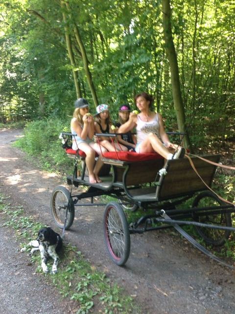 Ferienfreizeit mit Tieren