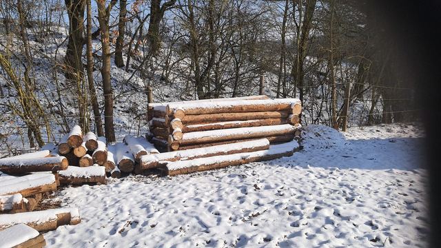 Blumenwiese, Hochbeete und Holz vom Vereinsgelände