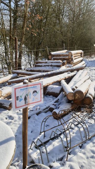 Blumenwiese, Hochbeete und Holz vom Vereinsgelände