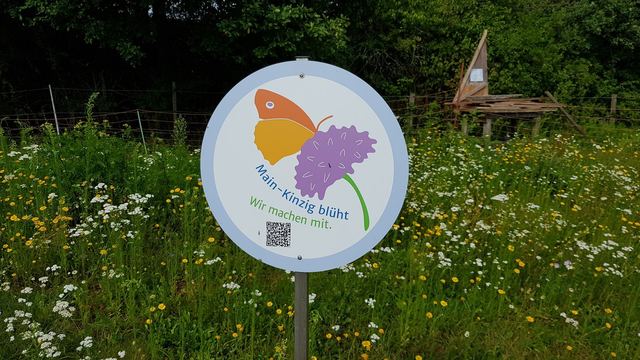 Blumenwiese, Hochbeete und Holz vom Vereinsgelände