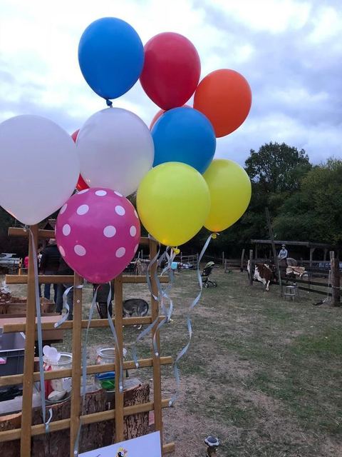 Erlebnisgeburtstag auf der Sonnenwiese