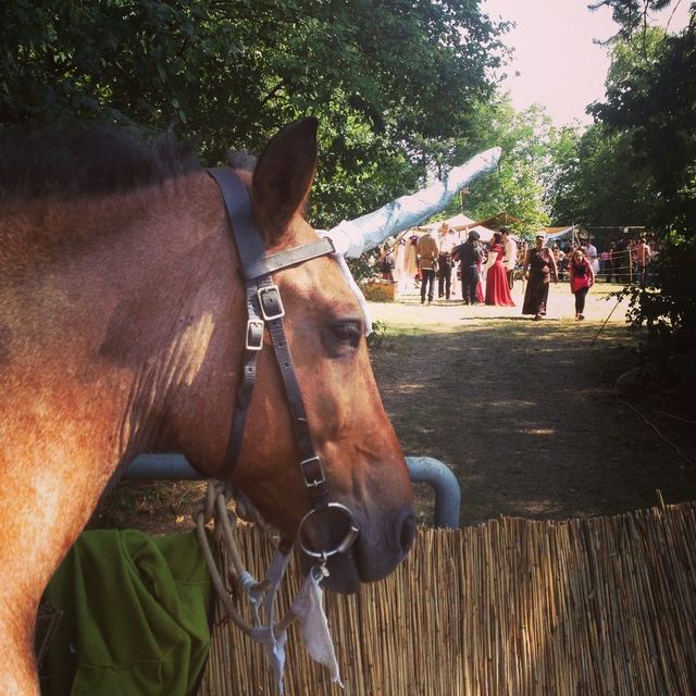 auf dem himbacher Mittelaltermarkt verzauberte sie jung und alt als Einhorn