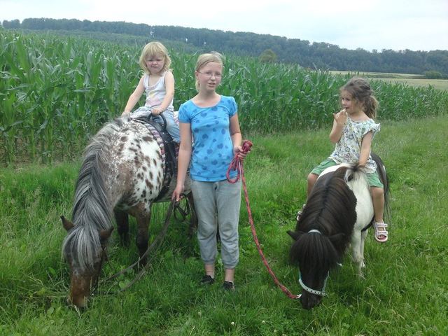 Bei einem langen Spaziergang freuen sich die Ponys über jede Pause