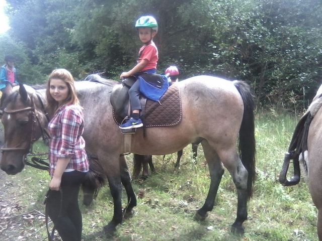 Beim Ponyreiten führen die Reitbeteiligungen ihre Pflegepferde