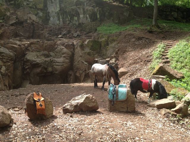 Picknicken im Wald macht Spaß