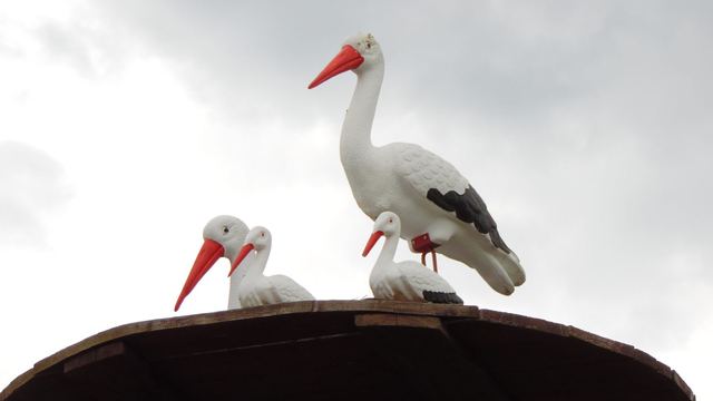 Unsere Storchfamilie