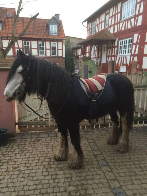 Erste Ausritte