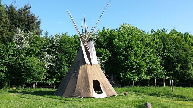 Frühling auf der Sonnenwiese