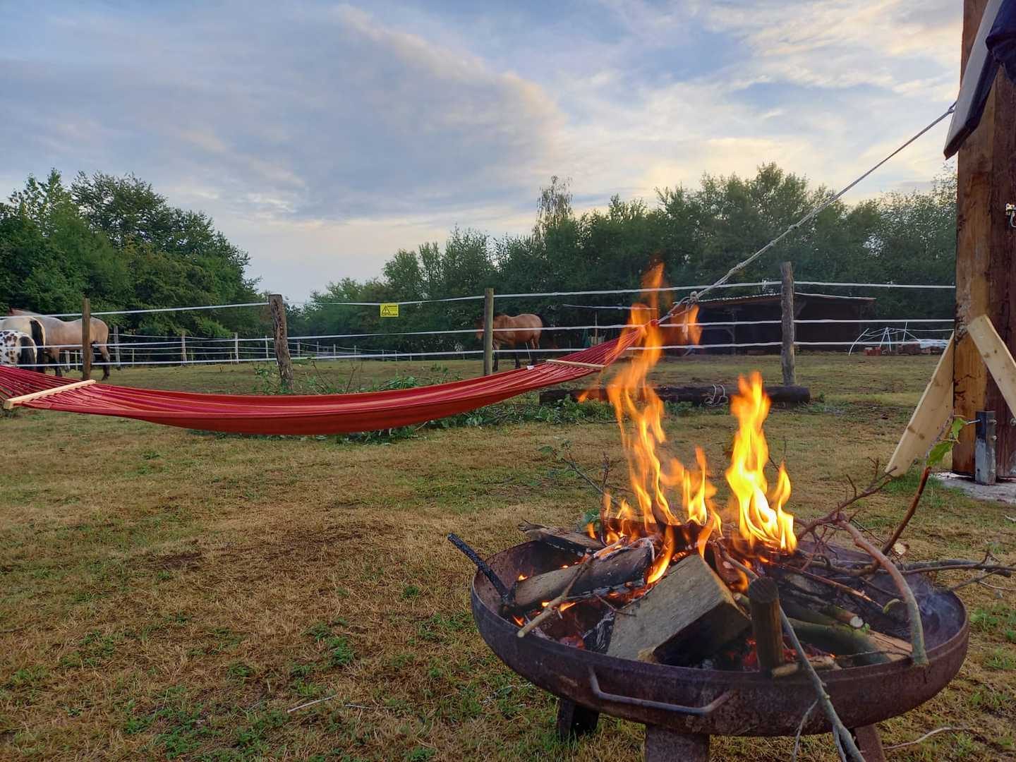 Lagerfeuer in der Feuerschale am Abend
