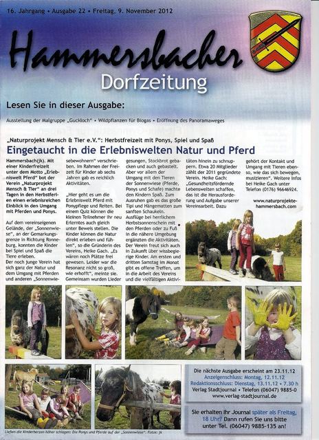 Scan Hammersbacher Dorfzeitung 9. November 2012