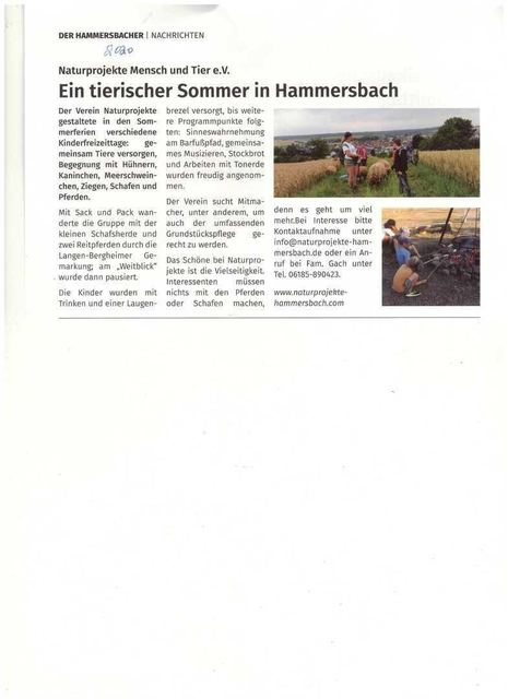 Scan Der Hammersbacher 2020