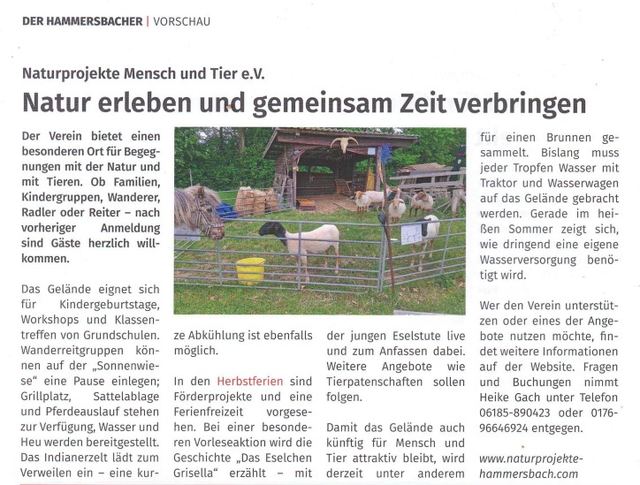 Scan Der Hammersbacher Herbst 2026
